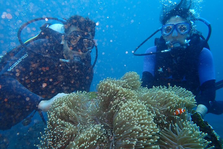 Tulamben Diving Tour Shipwreck USS Bali