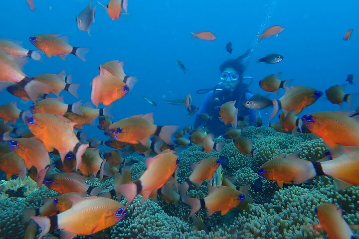 Tulamben Diving Tour Shipwreck USS Bali