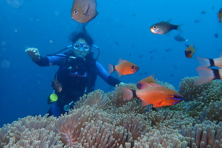 Tulamben Diving Tour Shipwreck USS Bali