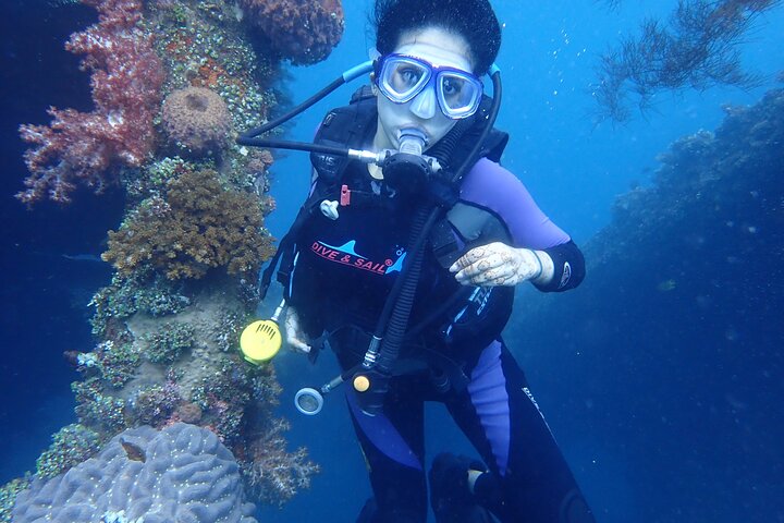 Tulamben Diving Tour Shipwreck USS Bali