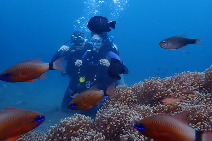 Tulamben Diving Tour Shipwreck USS Bali