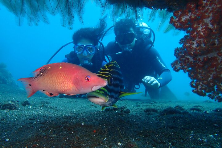 Tulamben Diving Tour Shipwreck USS Bali