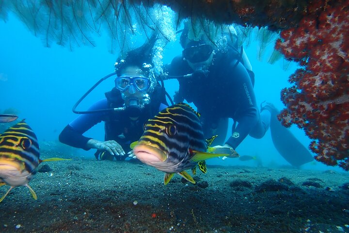 Tulamben Diving Tour Shipwreck USS Bali