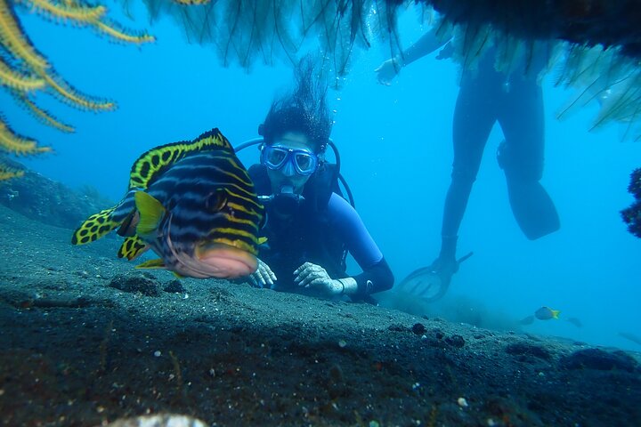 Tulamben Diving Tour Shipwreck USS Bali