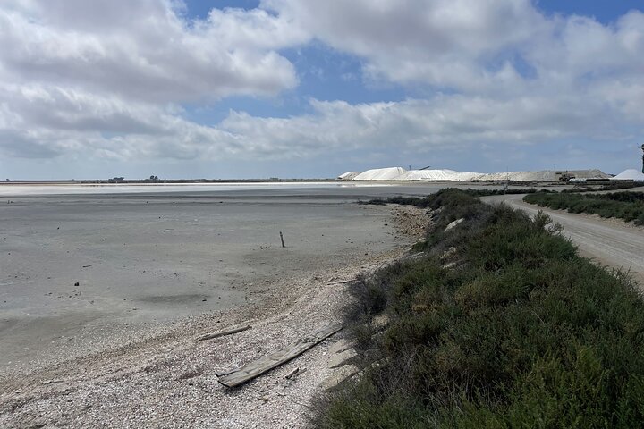 Day in Camargue Aigues-Mortes and St Marie de la mer