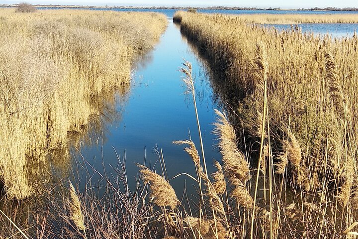 Day in Camargue Aigues-Mortes and St Marie de la mer