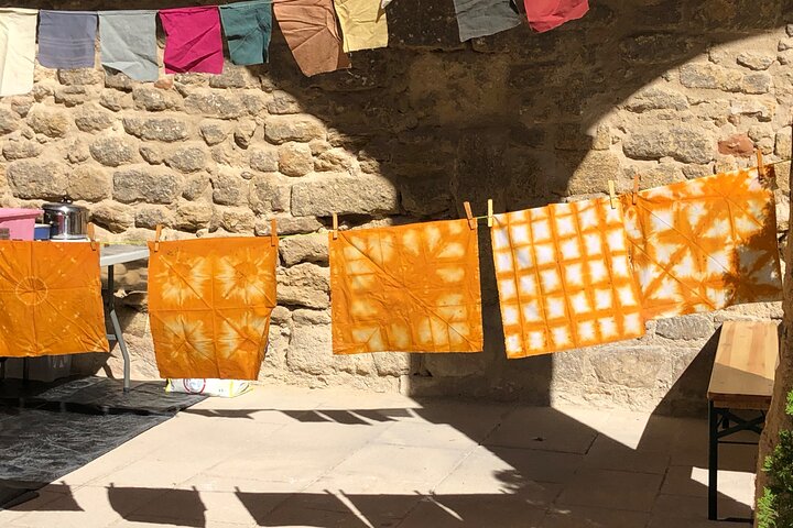 Private Introduction to plant color in Forcalquier in Provence
