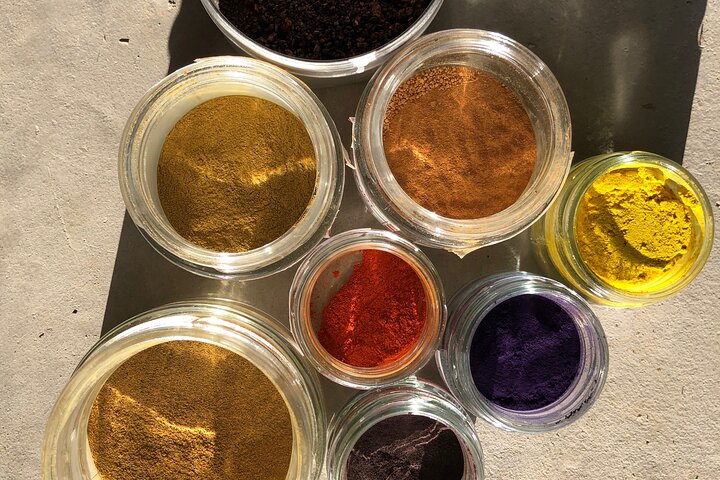 Private Introduction to plant color in Forcalquier in Provence