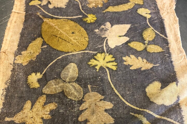 Private Introduction to plant color in Forcalquier in Provence