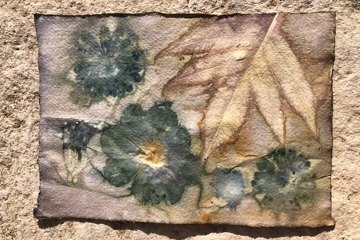 Private Introduction to plant color in Forcalquier in Provence