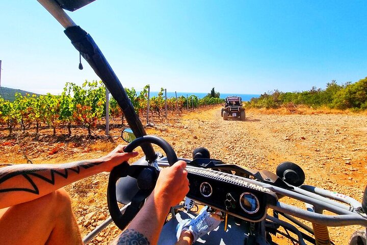 Korcula Buggy | Cruise Shore Excursion | Port Tour (Ana & Branko)