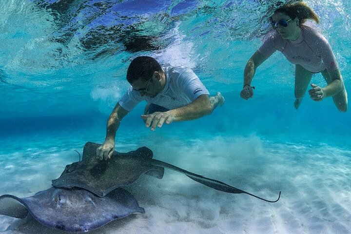 Stingray City and Starfish Experience with Coral Reef Snorkeling
