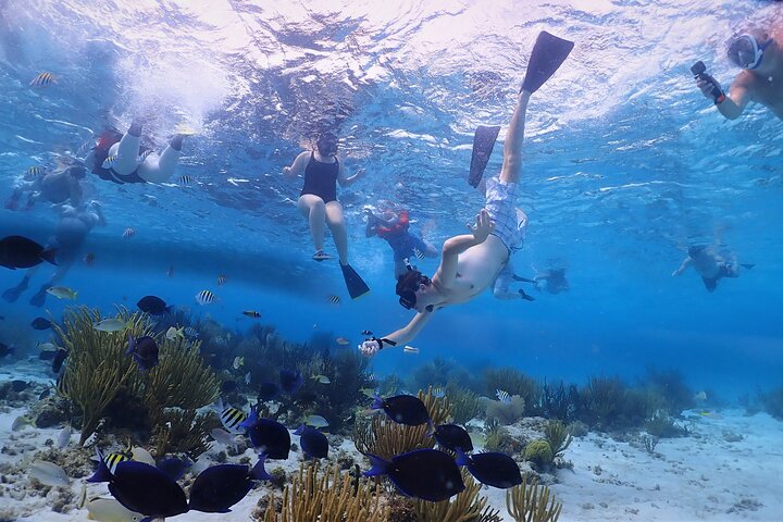 Stingray City and Starfish Experience with Coral Reef Snorkeling