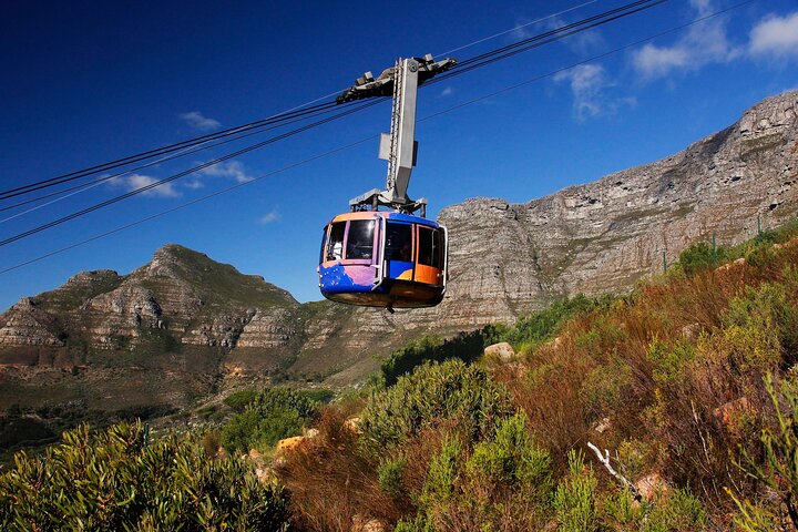 Table Mountain, Penguins & Cape Point Group Tour from Cape Town