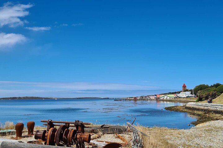 Private Coastal Gems Tour: Penguins, Scenery & Stanley