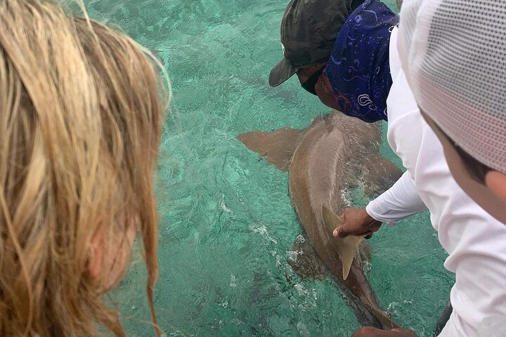 Snorkel HolChan Shark Ray Alley and Caye Caulker Manatee Spotting