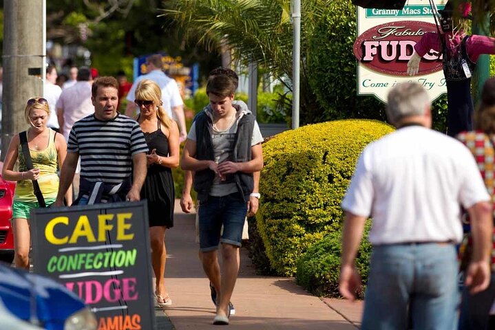 Hop on Hop Off Bus - Tamborine Mountain from Gold Coast