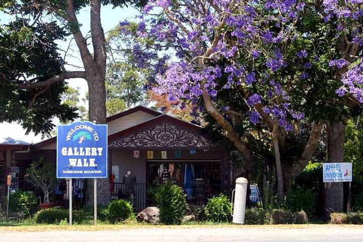 Hop on Hop Off Bus - Tamborine Mountain from Gold Coast