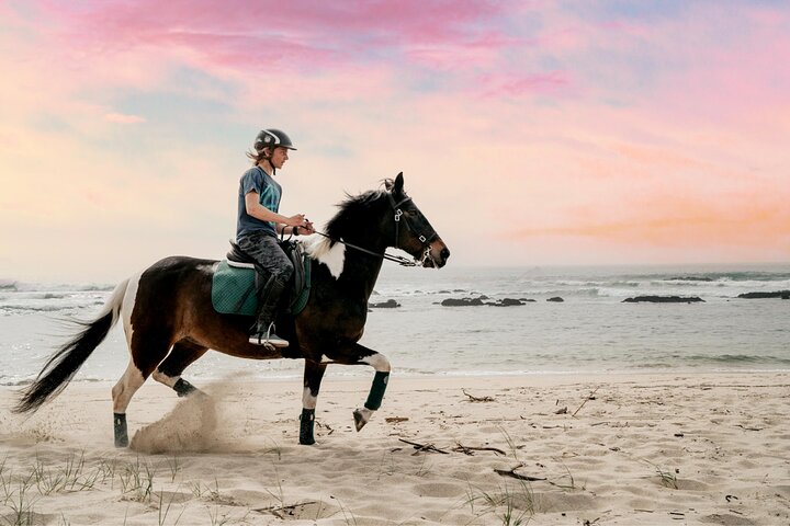 Viana do Castelo Horseback Riding Tour