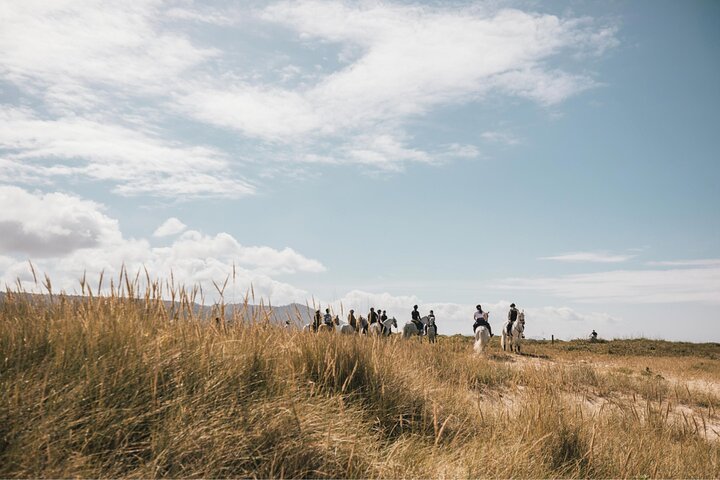 Viana do Castelo Horseback Riding Tour
