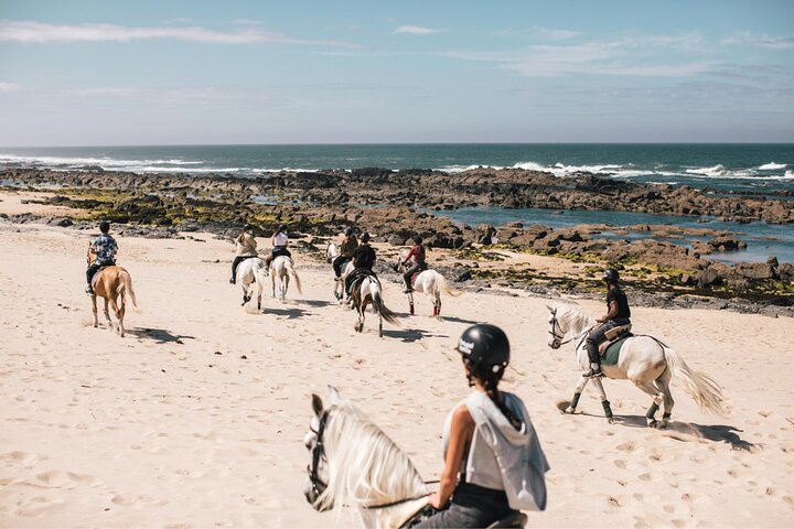 Viana do Castelo Horseback Riding Tour