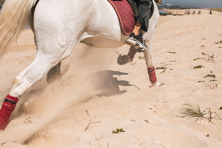 Viana do Castelo Horseback Riding Tour