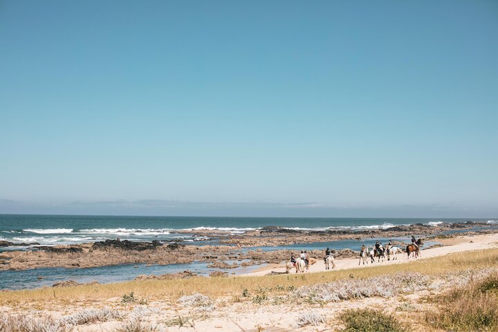 Viana do Castelo Horseback Riding Tour