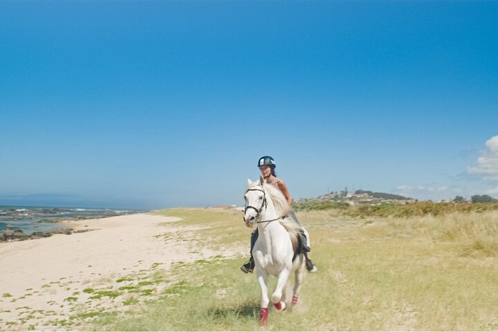 Viana do Castelo Horseback Riding Tour