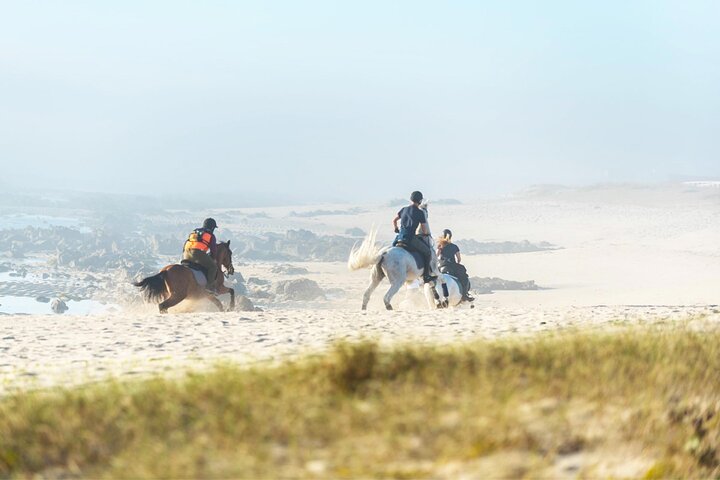 Viana do Castelo Horseback Riding Tour