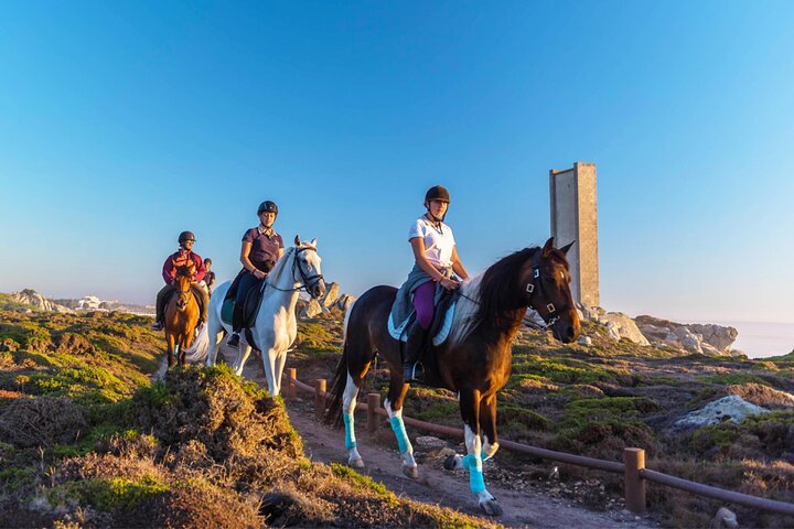 Viana do Castelo Horseback Riding Tour