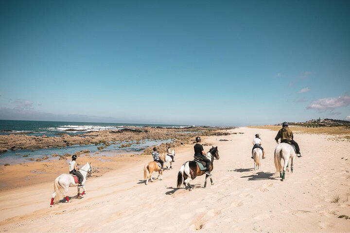 Viana do Castelo Horseback Riding Tour