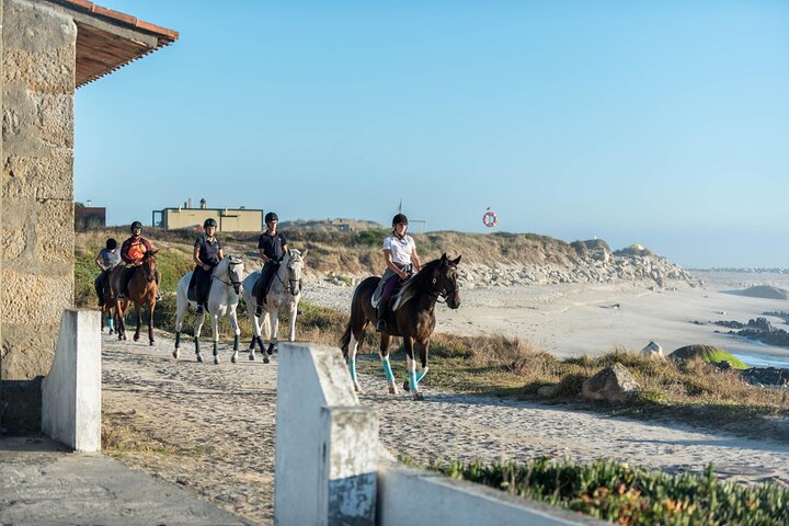 Viana do Castelo Horseback Riding Tour