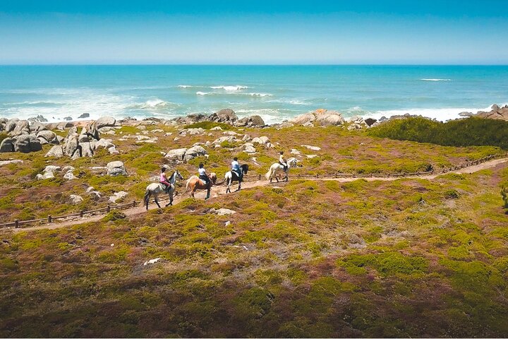 Viana do Castelo Horseback Riding Tour