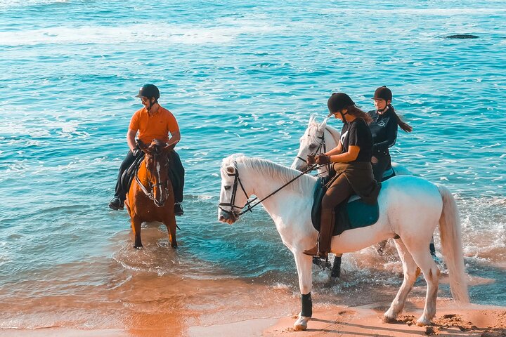Viana do Castelo Horseback Riding Tour