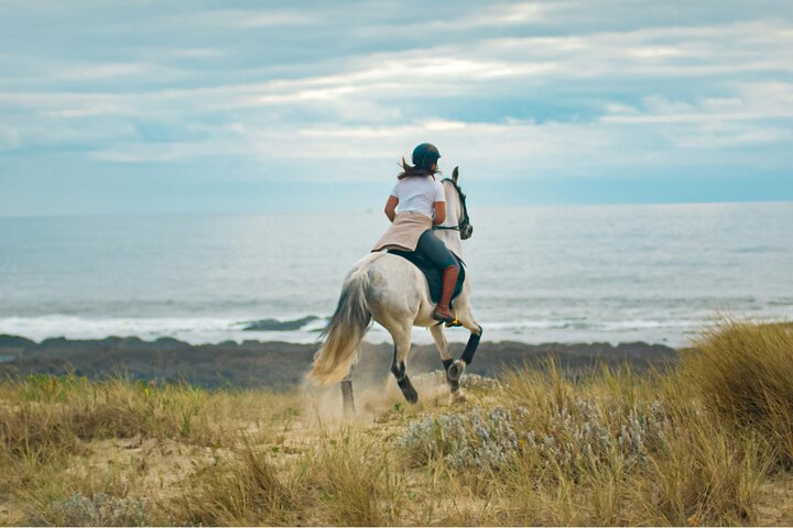Viana do Castelo Horseback Riding Tour