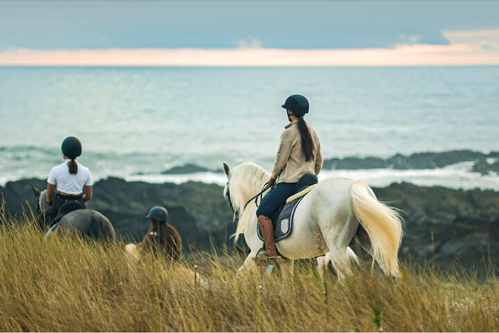 Viana do Castelo Horseback Riding Tour