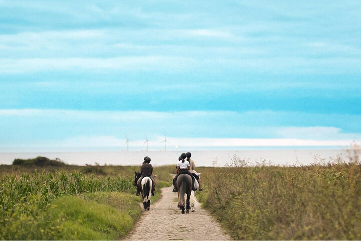 Viana do Castelo Horseback Riding Tour