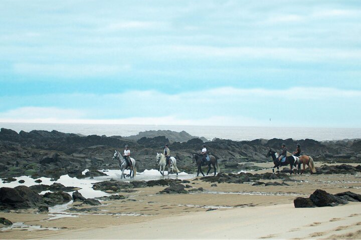 Viana do Castelo Horseback Riding Tour