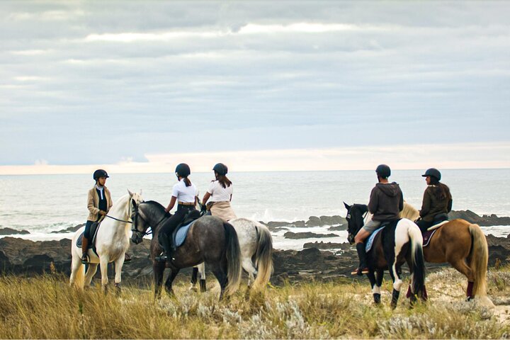 Viana do Castelo Horseback Riding Tour