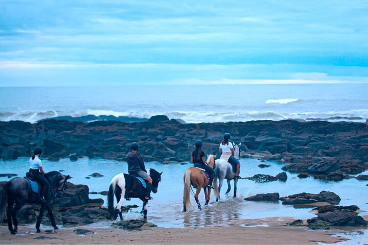 Viana do Castelo Horseback Riding Tour