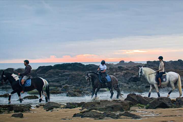 Viana do Castelo Horseback Riding Tour