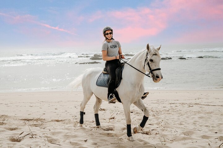 Viana do Castelo Horseback Riding Tour