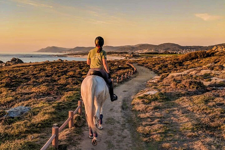 Viana do Castelo Horseback Riding Tour