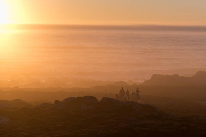 Viana do Castelo Horseback Riding Tour