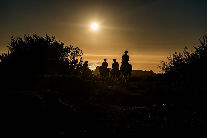 Viana do Castelo Horseback Riding Tour