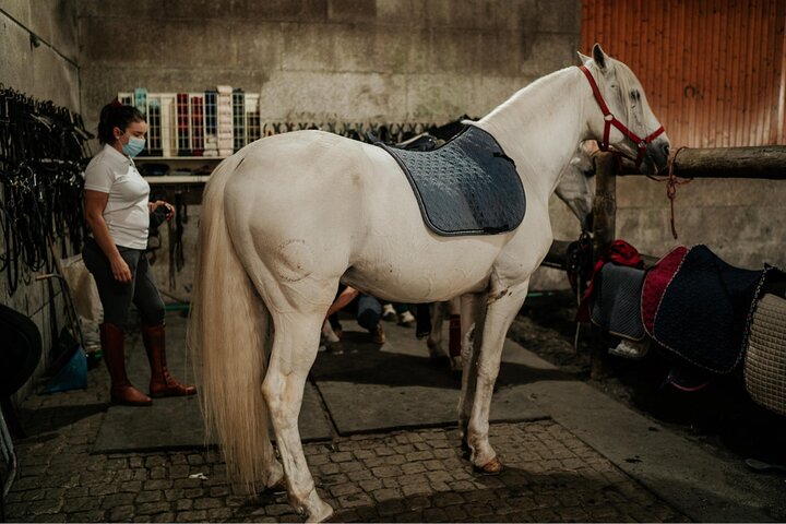Viana do Castelo Horseback Riding Tour