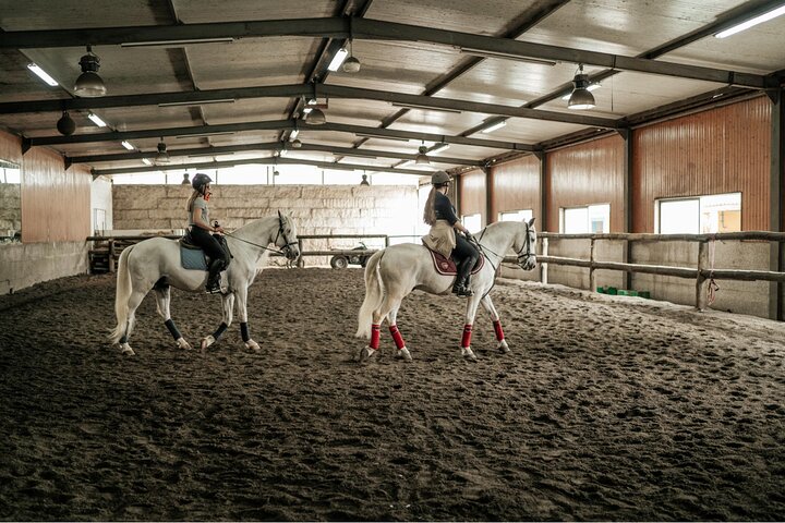 Viana do Castelo Horseback Riding Tour