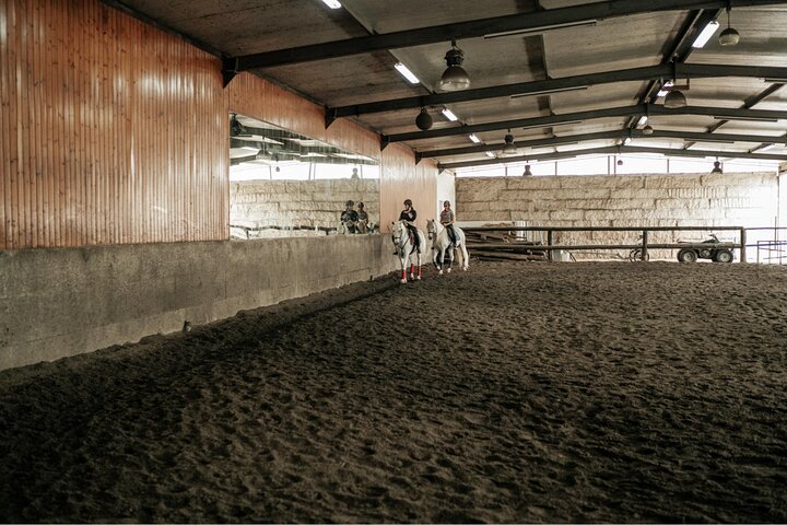 Viana do Castelo Horseback Riding Tour