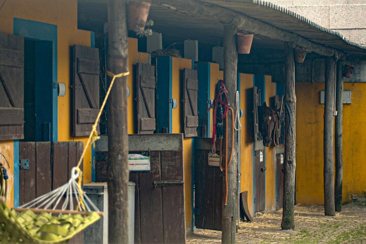 Viana do Castelo Horseback Riding Tour