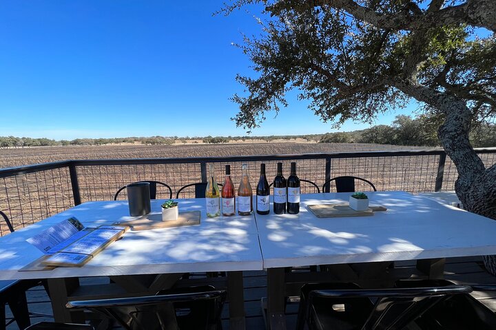 Wine Tour Pros - Private Fredericksburg Wine Tour Up to 11 people